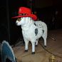 099020314boerenbruiloft13_14.jpg