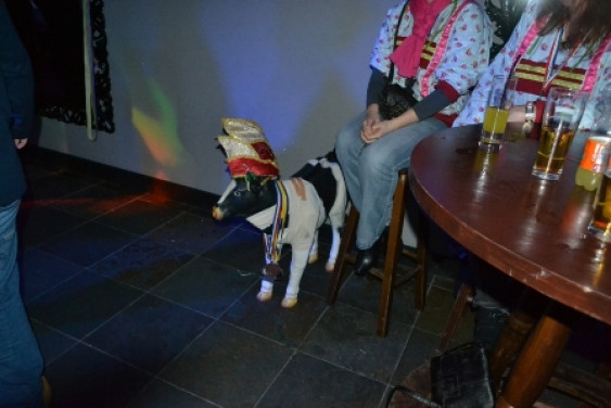 075040314slotbal13_14.jpg