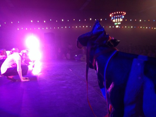 120114dansmariekefest13_1442.jpg