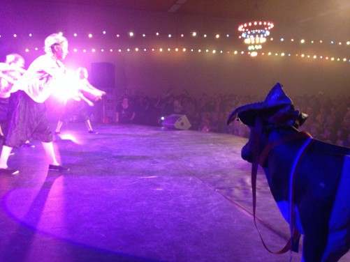120114dansmariekefest13_1445.jpg