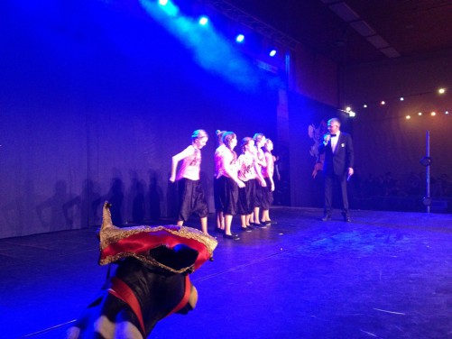 120114dansmariekefest13_1457.jpg