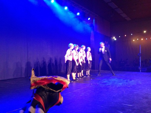 120114dansmariekefest13_1458.jpg