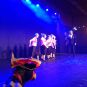 120114dansmariekefest13_1457.jpg