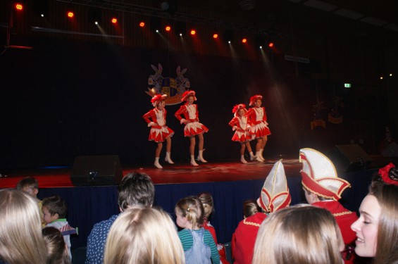 28110115dansmariekefest14_15.jpg