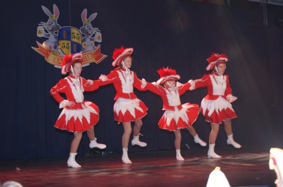 29110115dansmariekefest14_15.jpg