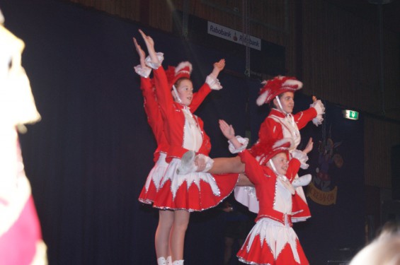 31110115dansmariekefest14_15.jpg