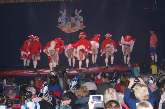 41110115dansmariekefest14_15.jpg
