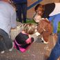 158240115kidzfestijn14_15.jpg