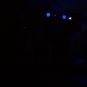 081114bekendmaking14_153.jpg