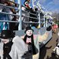 carnaval1516597.jpg