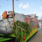 carnaval1516739.jpg