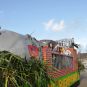 carnaval1516740.jpg