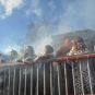 carnaval1516742.jpg