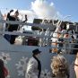 carnaval1516791.jpg