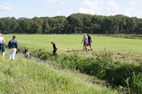 13_baggerloop03092017.jpg
