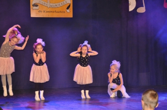 250_1501dansmariekefestival17.jpg