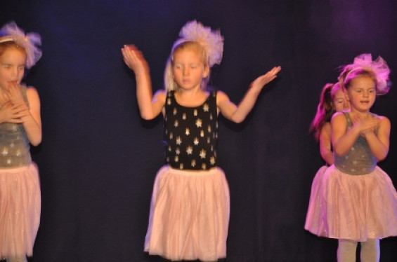 255_1501dansmariekefestival17.jpg