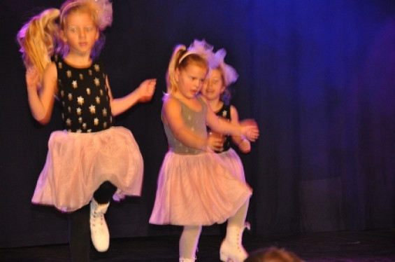 257_1501dansmariekefestival17.jpg