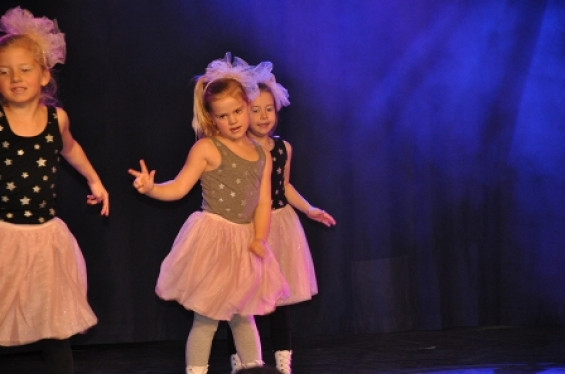 258_1501dansmariekefestival17.jpg