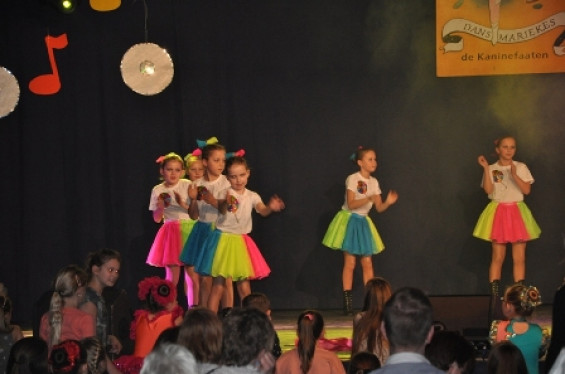 283_1501dansmariekefestival17.jpg
