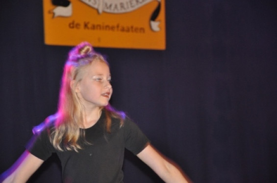 300_1501dansmariekefestival17.jpg