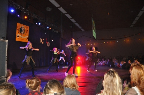 302_1501dansmariekefestival17.jpg