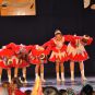 208_1501dansmariekefestival17.jpg