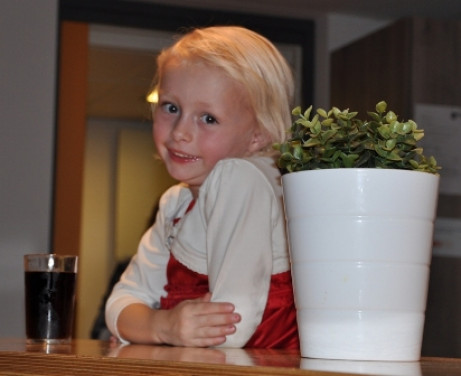 29_1410playbackshow17.jpg