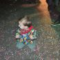 141_2801kidzfestijn17.jpg