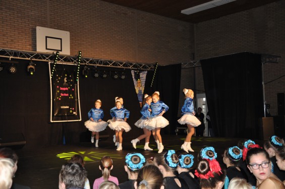 014_13-2101plasduikersdansfestival.jpg