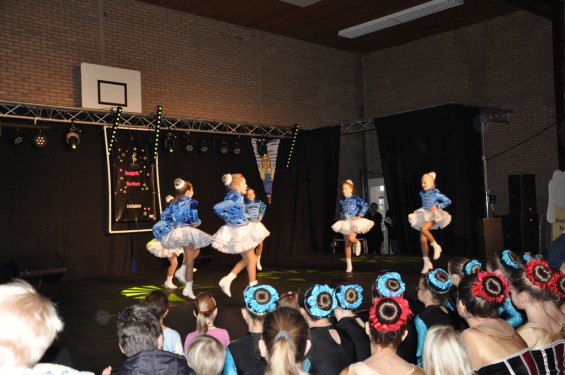 015_13-2101plasduikersdansfestival.jpg