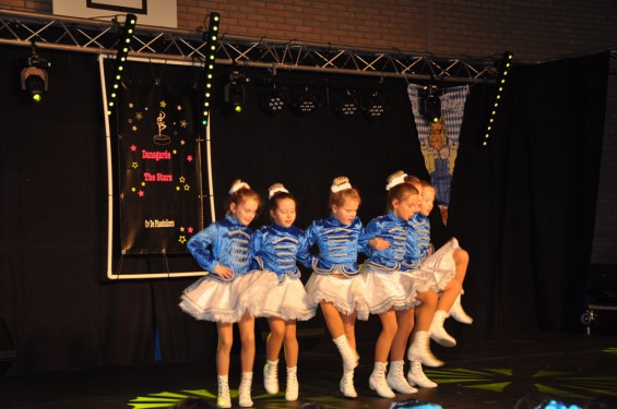 016_13-2101plasduikersdansfestival.jpg