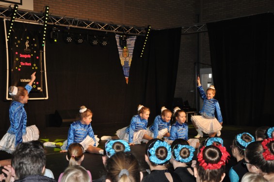 019_13-2101plasduikersdansfestival.jpg