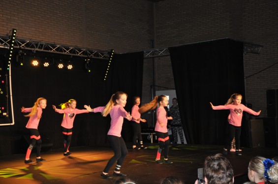059_13-2101plasduikersdansfestival.jpg