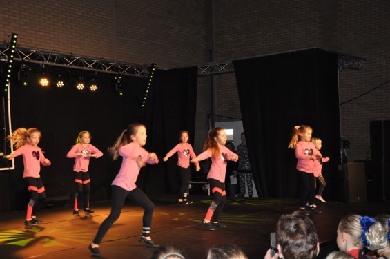 060_13-2101plasduikersdansfestival.jpg