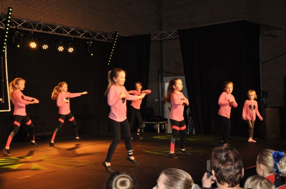 061_13-2101plasduikersdansfestival.jpg