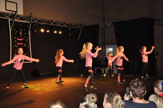062_13-2101plasduikersdansfestival.jpg