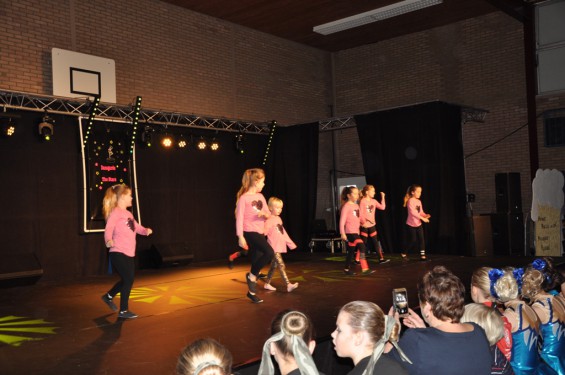 064_13-2101plasduikersdansfestival.jpg