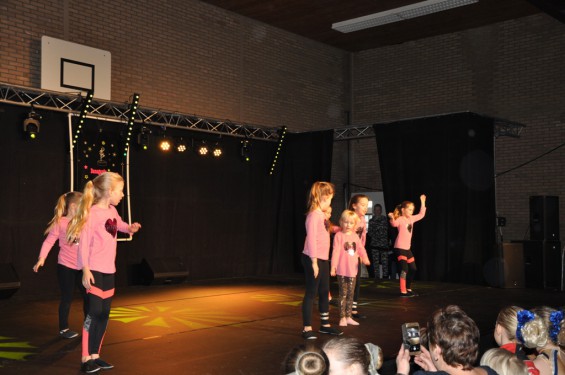 073_13-2101plasduikersdansfestival.jpg