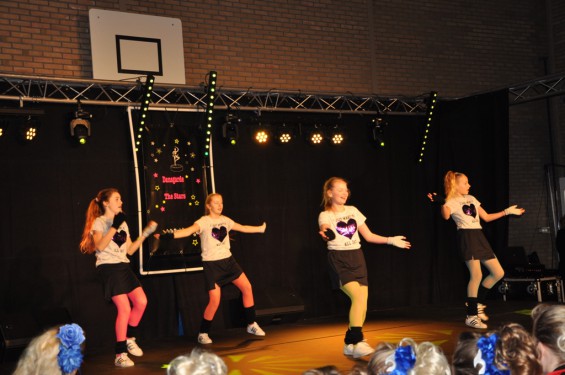 082_13-2101plasduikersdansfestival.jpg