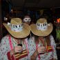136_0302incognito.jpg