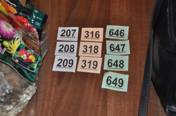 52_1204bingo.jpg