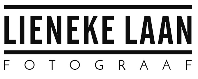Logo Lieneke Laan